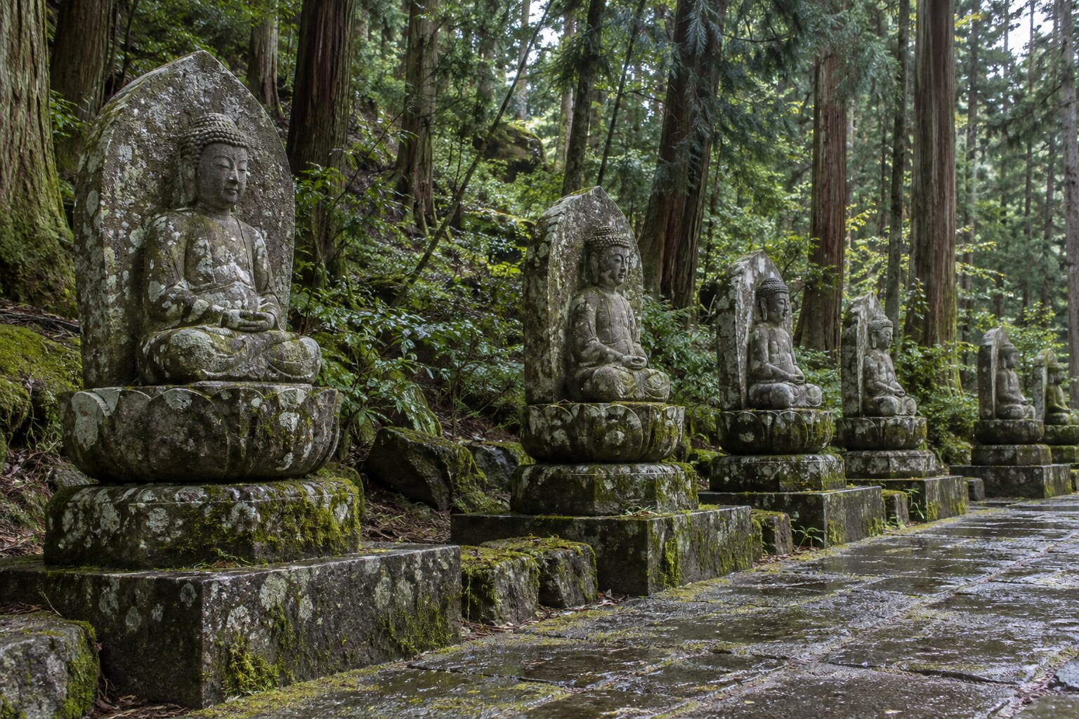 歴代当主を祀る御廟所をイメージした風景。現地の正確な再現ではない（AI生成）（AI生成イメージ）