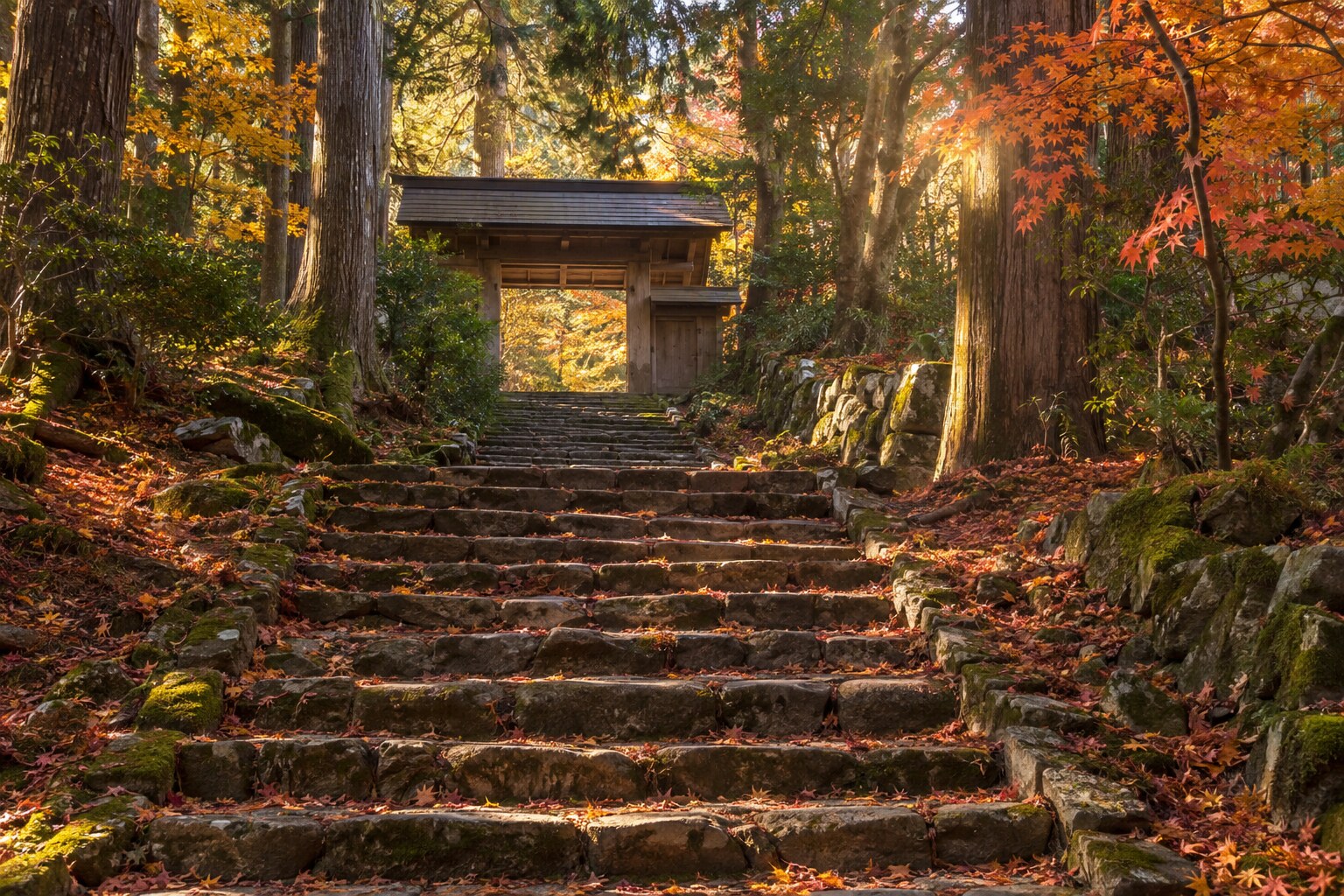 追悼をイメージした山寺への道（実在墓所の復元ではない）（AI生成イメージ）