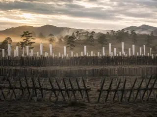 長篠の戦い|鉄砲運用が変えた戦術革命
